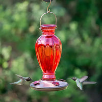Daisy Vase Hummingbird Feeder