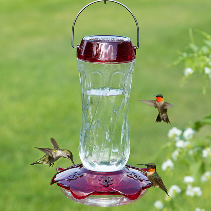 Classic Glass Hummingbird Feeder
