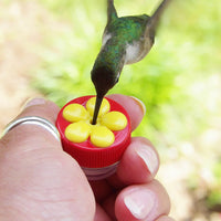 Hand Held Hummingbird Feeder™
