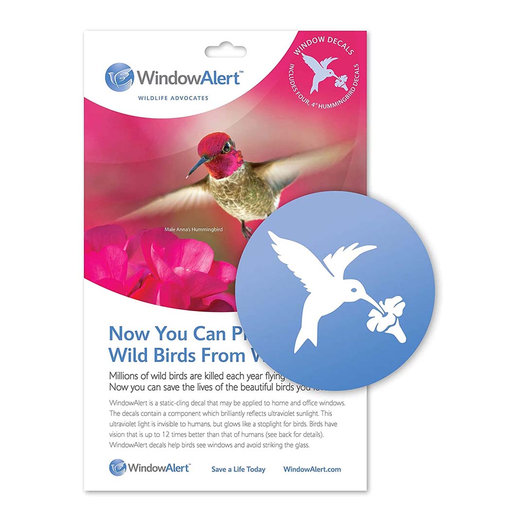 Window Alert Stickers Window Alert Anti-Collision Decal (Hummingbird) – Birders Bird Supply ...