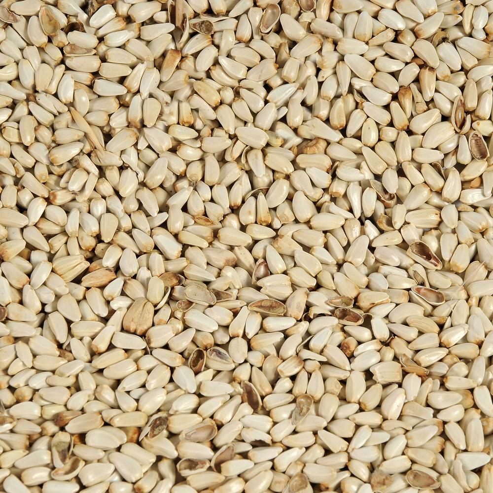 Safflower Seed - 5lb / 10lb / 20lb