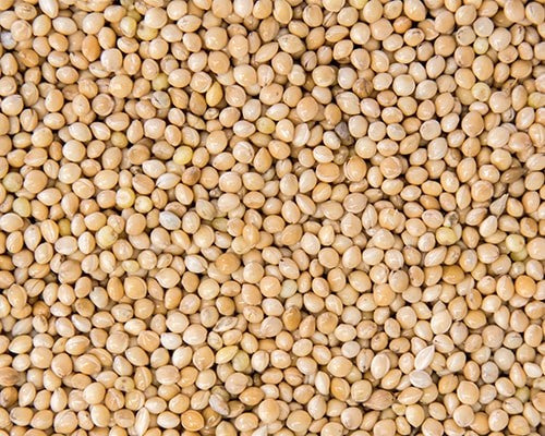 White Millet - 10lb