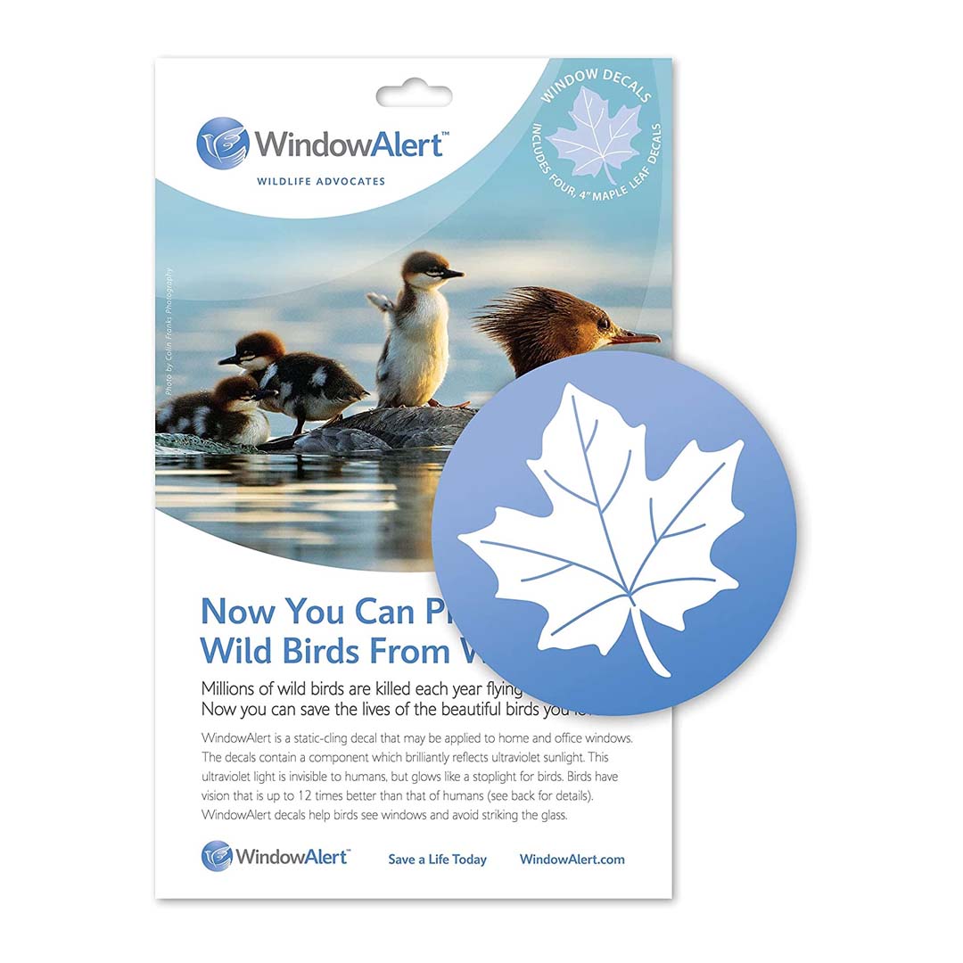 Window Alert Anti-Collision Decal (Leaf) – Birders Bird Supply & Gift Store