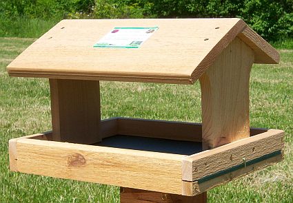 Cedar Fly Through Feeder